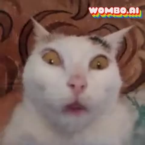 video_2021-05-02_14-48-48