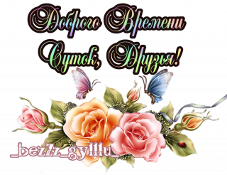 бабочки