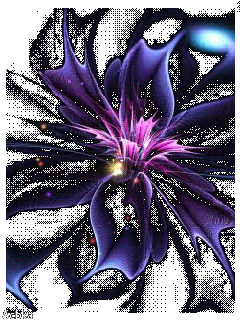 ba2181287774b2086ba2e9e90abb47d7