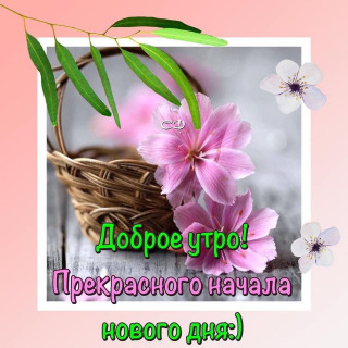 sychevaliubov9385-___COZa3T9jnjK___-