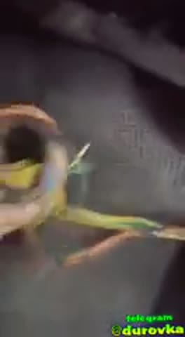 Hjase_Kulibin_O_o-_im