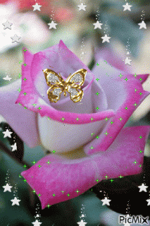 aee2a2f5f66afad00bc277a16f70856e