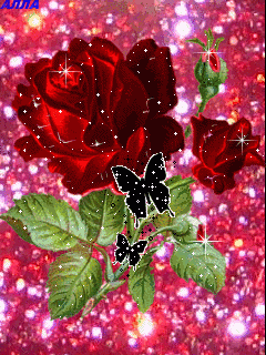 e5c449cbe6474457db27a84689663501