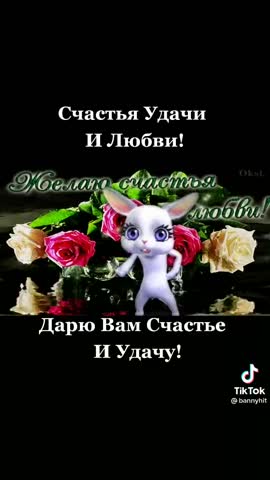 video-1445a457f57c07a65f19d277ca4a740c-V