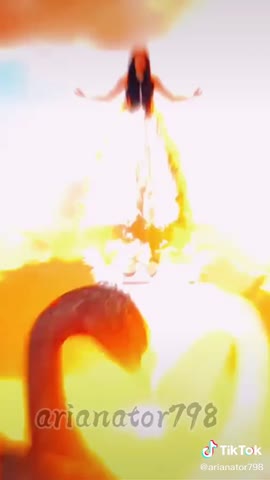 6627427ef20c4ec227e2cc722a4cf6bb