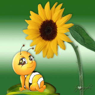 GIF-84c97ae47d7723129837413945c0aa74