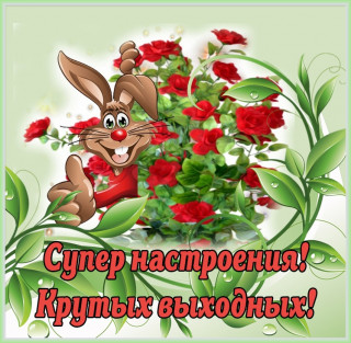 UmmKdkUpVUA