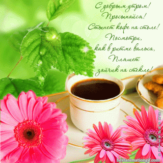 Доброе-утро-вторника-картинки-красивые-гифки-6