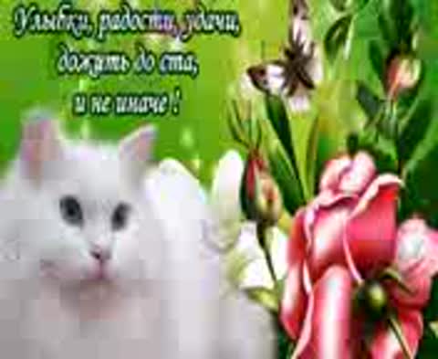 pozhelanija_dzjam_muzykalnoe-_im