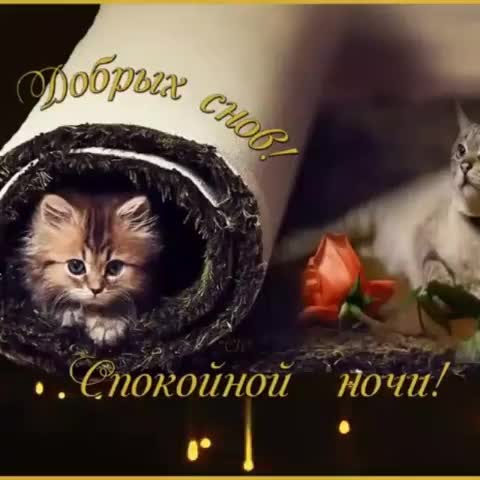 Spokojnoj_nochi-_im