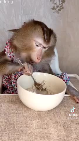 video-cc868daf92fc70817eebf48446fcd709-V