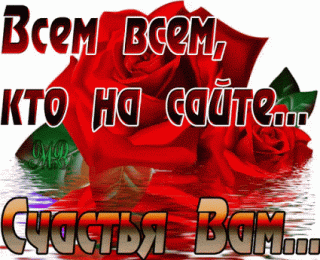 GIF-0b1be69ecf881b5cca81977781c3733e