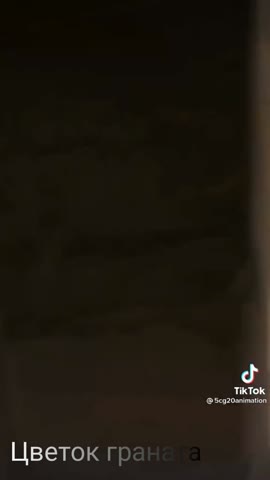 6509ec4f-56bb-4c36-ba48-2fee20bdb23c