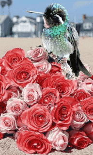 5f6048385bb4124164804112f13765d6