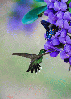 42b7a19b66b55f645fd984102f6d9efe