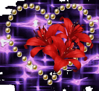 GIF-71b5cabcecc702f52929e32c85b99cd5