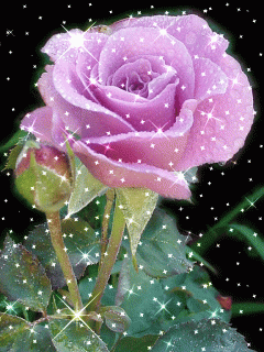 GIF-1f2621f1675498600e02529150e401fc