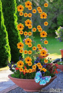 2aa71e193887ff89880c4a38a484de8b