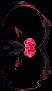 70d31491cbefe8f4288cbbdf9b8cf0b9