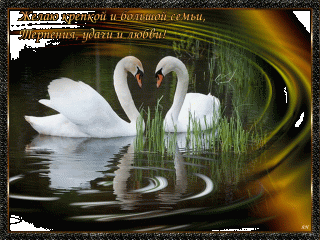 ZHelayu-krepkoy-i-bolshoy-semi-_im