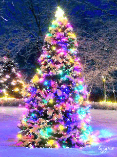 131713630_3303834_radujnie_11-_im