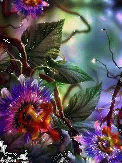 131713636_3303834_radujnie_15-_im