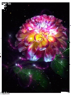 131713638_3303834_radujnie_19-_im