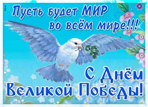 video-3baf1bd0a03b62ba5004c7dd7731c42f-V