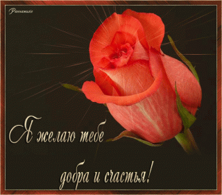 1500677224_794-ya-zhelayu-tebe-dobra-i-schastya-_im