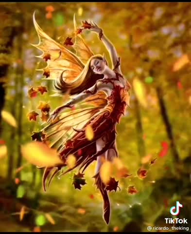 4029cac40a886b554868c162e1d202d3