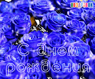 kartinka-s-dnem-rozhdeniya-sinie-rozy-_im