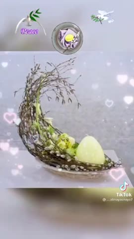 video-e2b7652b154295414cb50490f49f0334-V