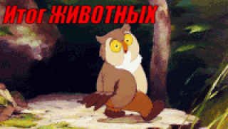 Итог животных
