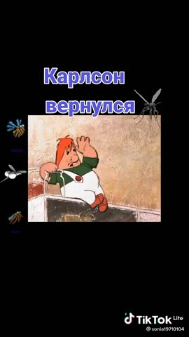 карлсончик