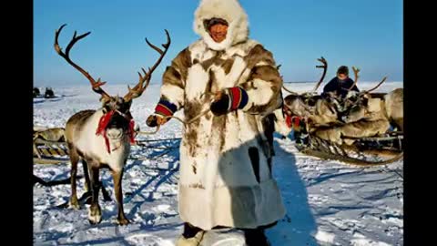 Первая_брачная_ночь_у_чукчей__Что_и_куда_если_узко