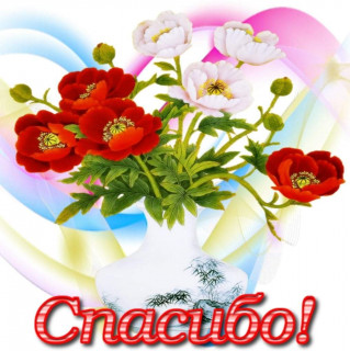 IMG-20190505-WA0020-_im