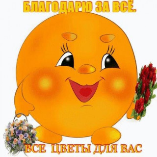 IMG-20190304-WA0022-_im