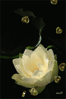 9141_45eeb308ec672db3ed9ddea1306d8a53