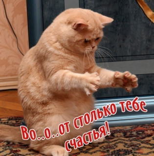 счастье тебе