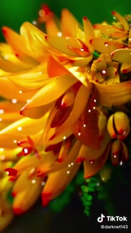 096075590c1e23aa30706bb8d34bae4c