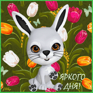 2020-07-22-02-00-09-_im