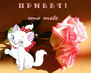 2020-11-08-23-24-33-_im