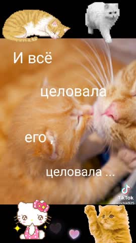e41b0ff3fdfa8105e2f940784f3d08f1