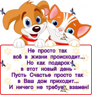 NE_PROSTO_TAK___-_im