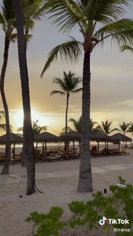 02d296cde44086507e044349f3b26870