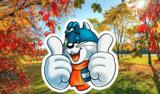 IMG_20190817_103347-_im