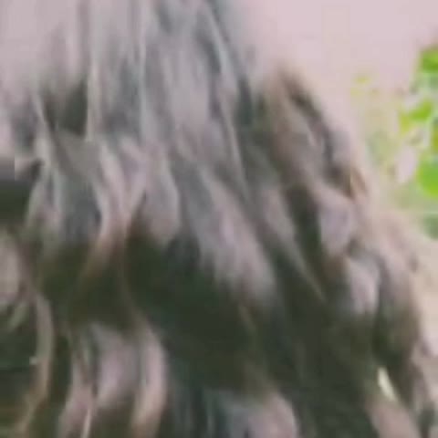 VID_171981206_005600_527