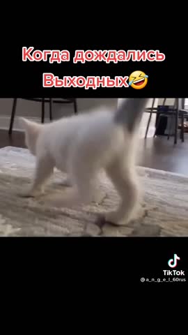 57e75210461e138644eeae06a4fffe5a