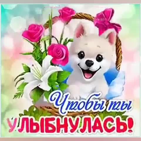 Chtoby_ty_ulybnulas-_im