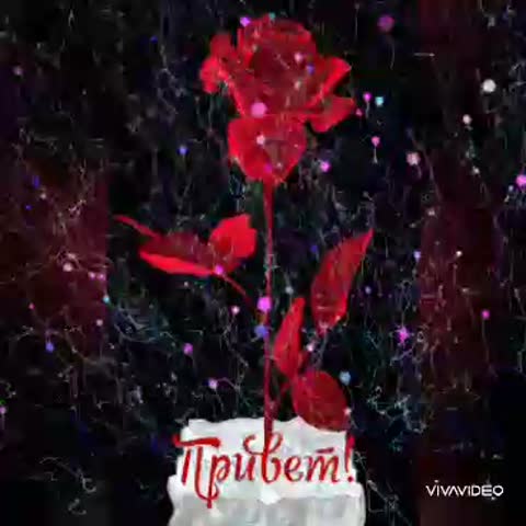 Foiz__dob_utro_whatsaper__